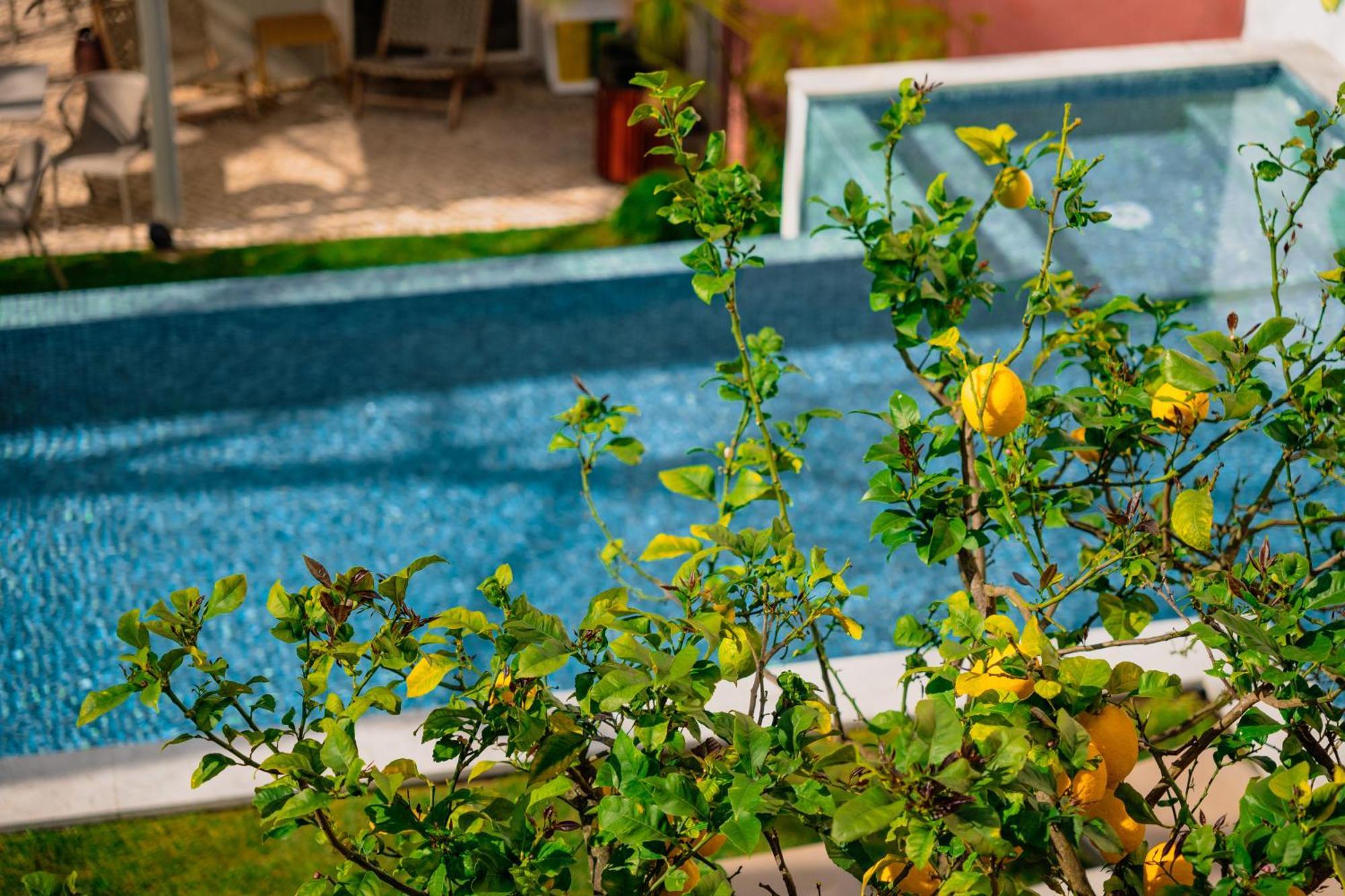 Jardim da Lapa by Shiadu Hotel Lisbon Bagian luar foto